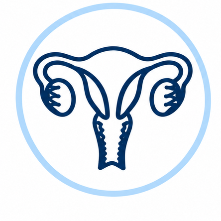 Gynaecological ultrasound