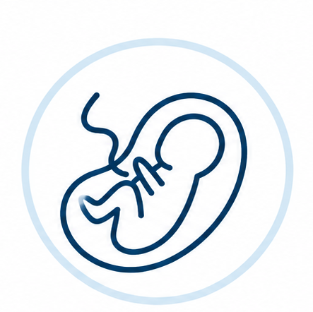 Pregnancy and fetal imaging